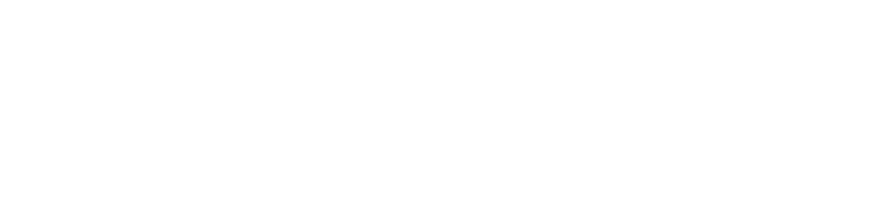 Strunk Connect